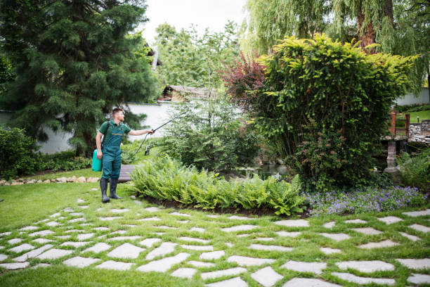 Best Bird Control  in Morris Plains, NJ
