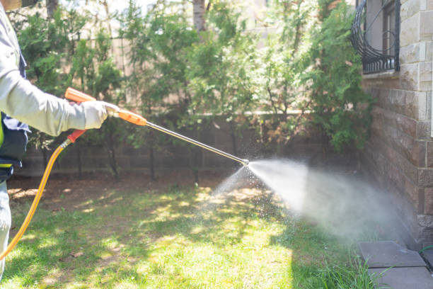 Best Best Pest Control Companies  in Morris Plains, NJ