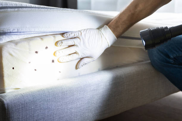 Best Pest Inspection Near Me  in Morris Plains, NJ
